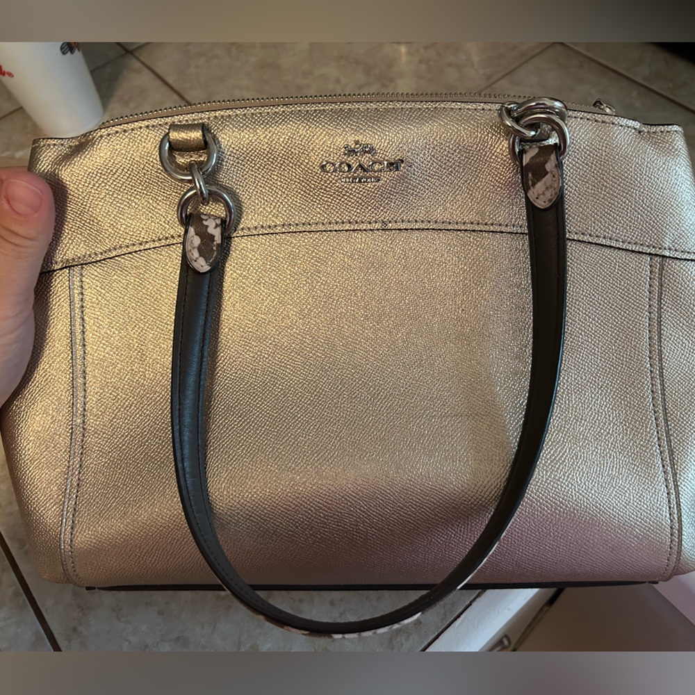 Brooke Carryall — Coach purse